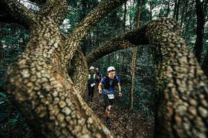 BIB: 
                            <button type="button" onclick="openModal(25393268)" class="btn btn-primary btn-sm float-right btn-popup" data-toggle="modal" data-target=".modal-high-quality">
                        <i class="fas fa-shopping-cart"></i> Add to Cart
                    </button>
                                            <button type="button" onclick="isThisMe(25393268, true)" class="btn btn-success btn-sm float-right btn-popup btn-isme hidden" data-toggle="tooltip" data-placement="bottom" title="นี่คือรูปของคุณใช่ไหม คลิกที่นี่เพื่อเอาเข้าอัลบั้ม">
                        <i class="fas fa-plus"></i> Add to album
                    </button>
                    <button type="button" onclick="isThisMe(25393268, false)" class="btn btn-warning btn-sm float-right btn-popup btn-isnotme hidden">
                        <i class="fas fa-ban"></i> Remove from album
                    </button>